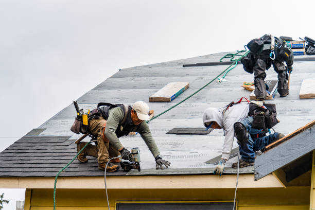 Professional Storm Damage Roof Repair technician working in La Porte, IN